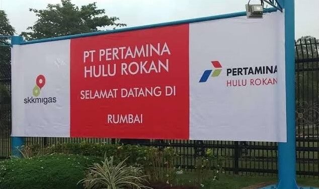 Ini Strategi Pertamina Garap Blok Rokan Jadi Penyumbang Produksi Minyak ...